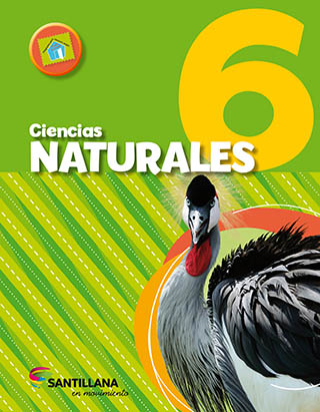 Ciencias naturales 6